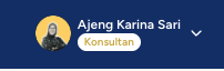 Pilihan profil Konsultan
